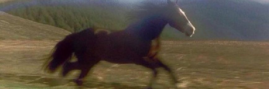 Long_Time_Hiro banner