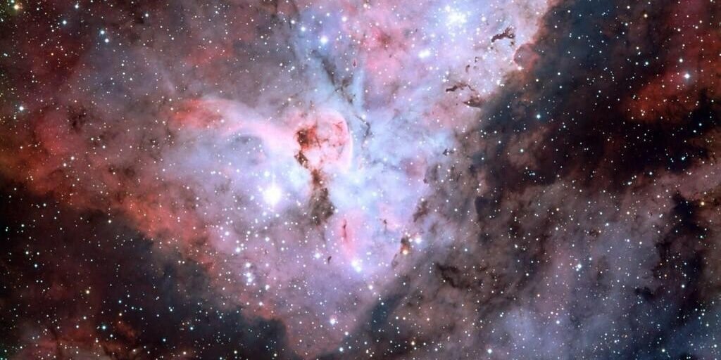 PetreeDestiny's profile banner image
