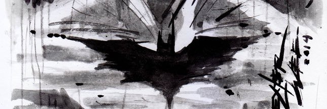 Skydeli09's profile banner image