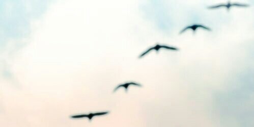 MundoIcons_'s profile banner image