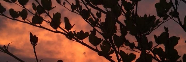 Grasitl's profile banner image