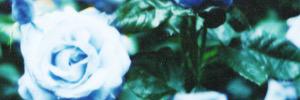 Rejects_Off's profile banner image
