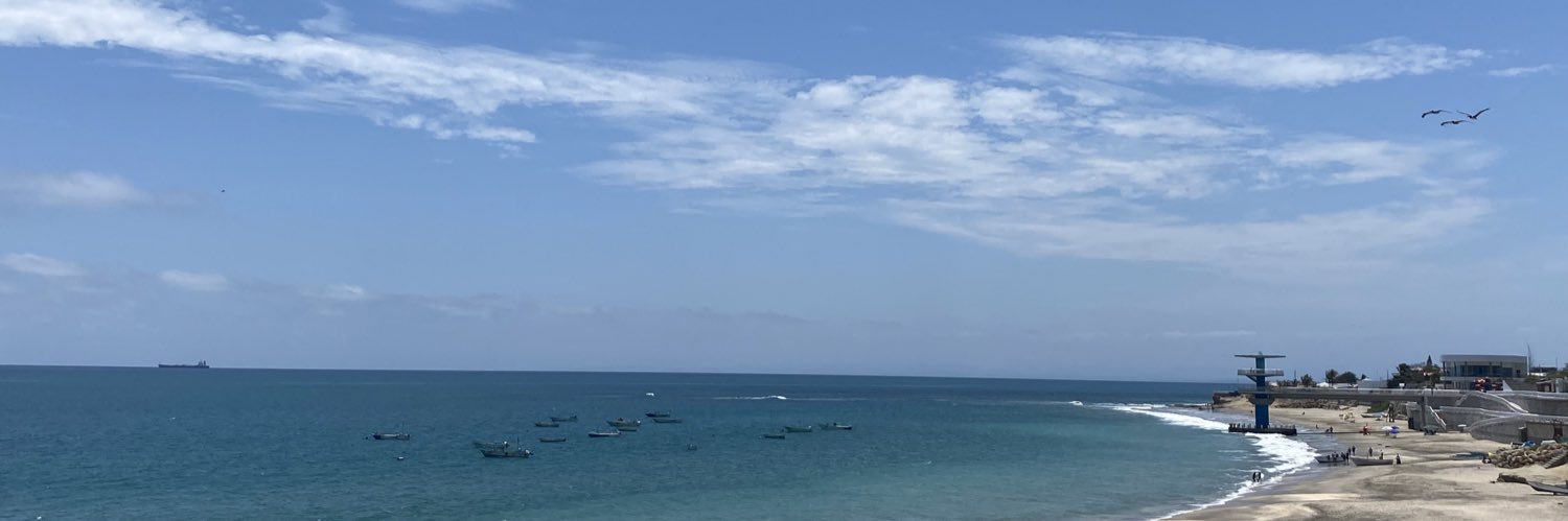 Daniela Orellana banner