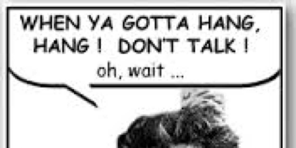 tucoletruand's profile banner image
