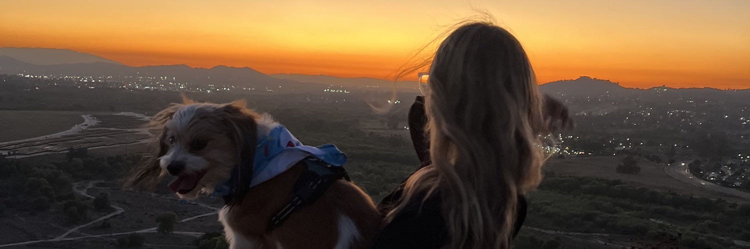 drizzykv's profile banner image