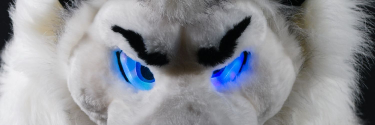 TailAfterDusk's profile banner image