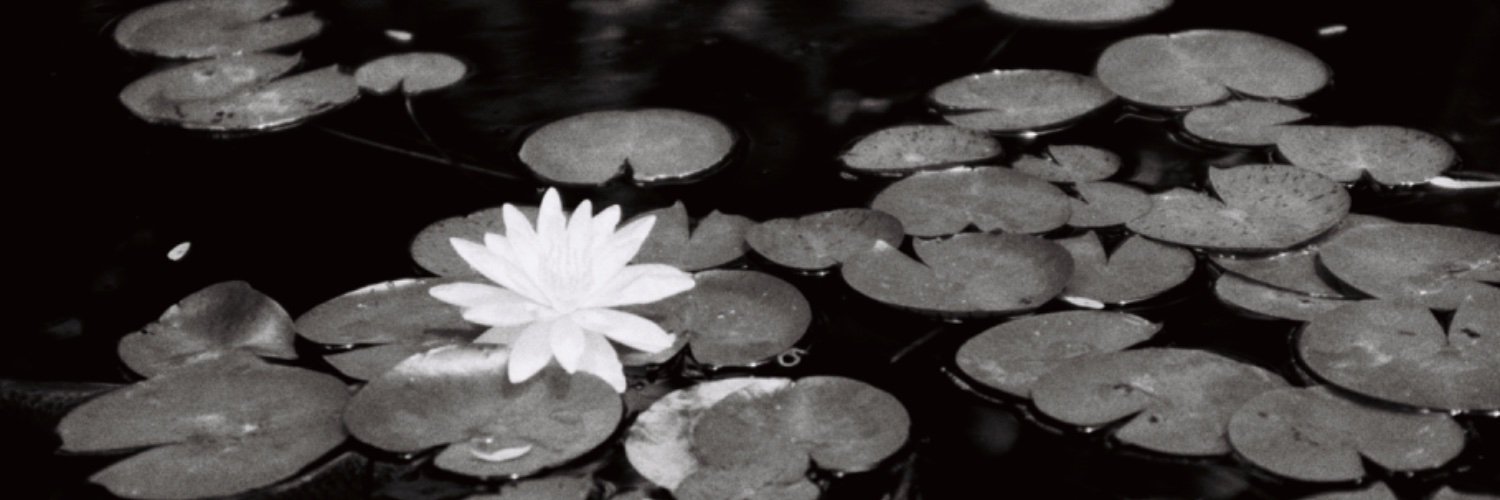 JamesStets's profile banner image