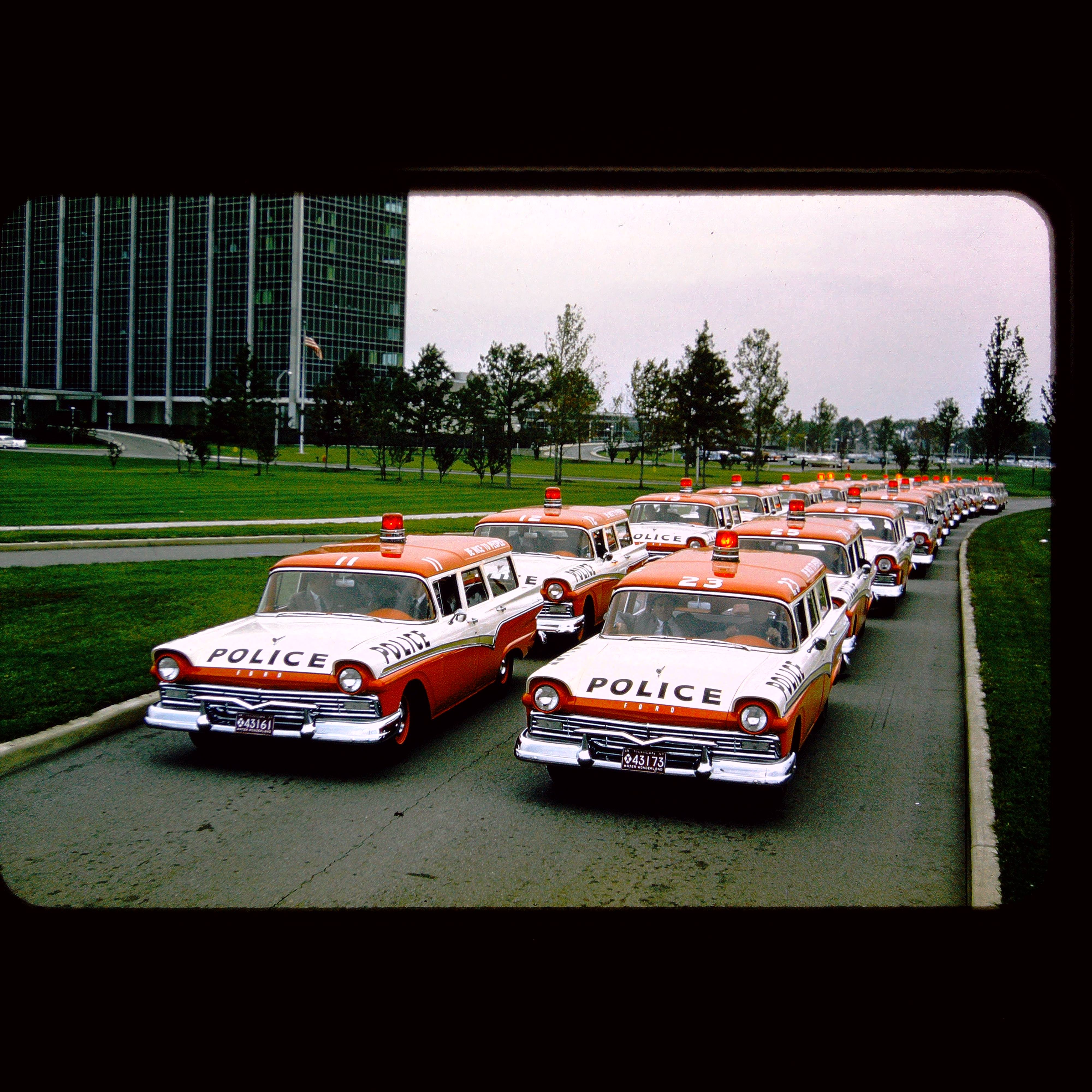 Dr. Stexy Backburner banner