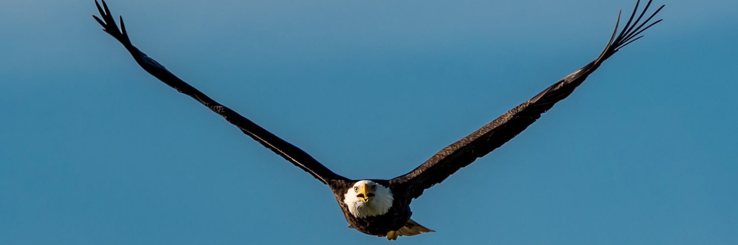 paypath's profile banner image