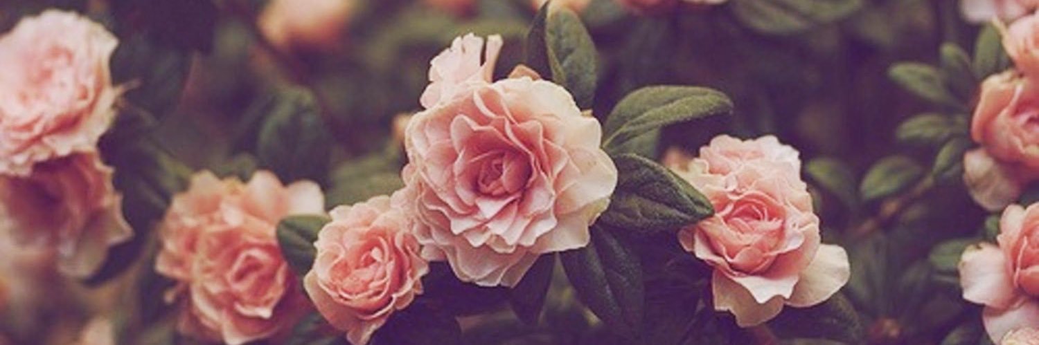 NyxandStyx's profile banner image