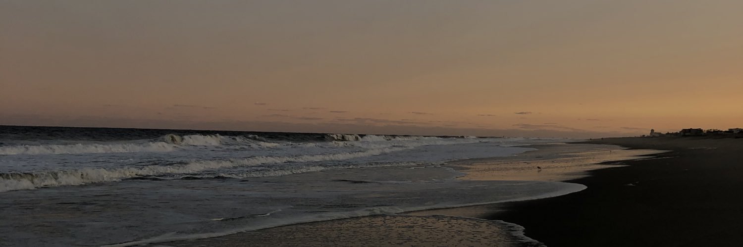 jesi_rossman's profile banner image