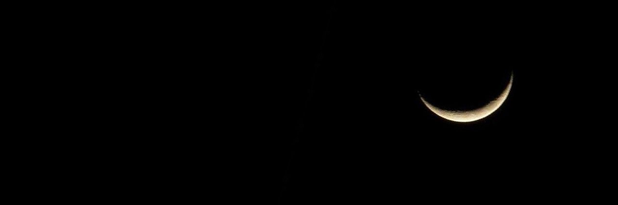 patheticoo's profile banner image
