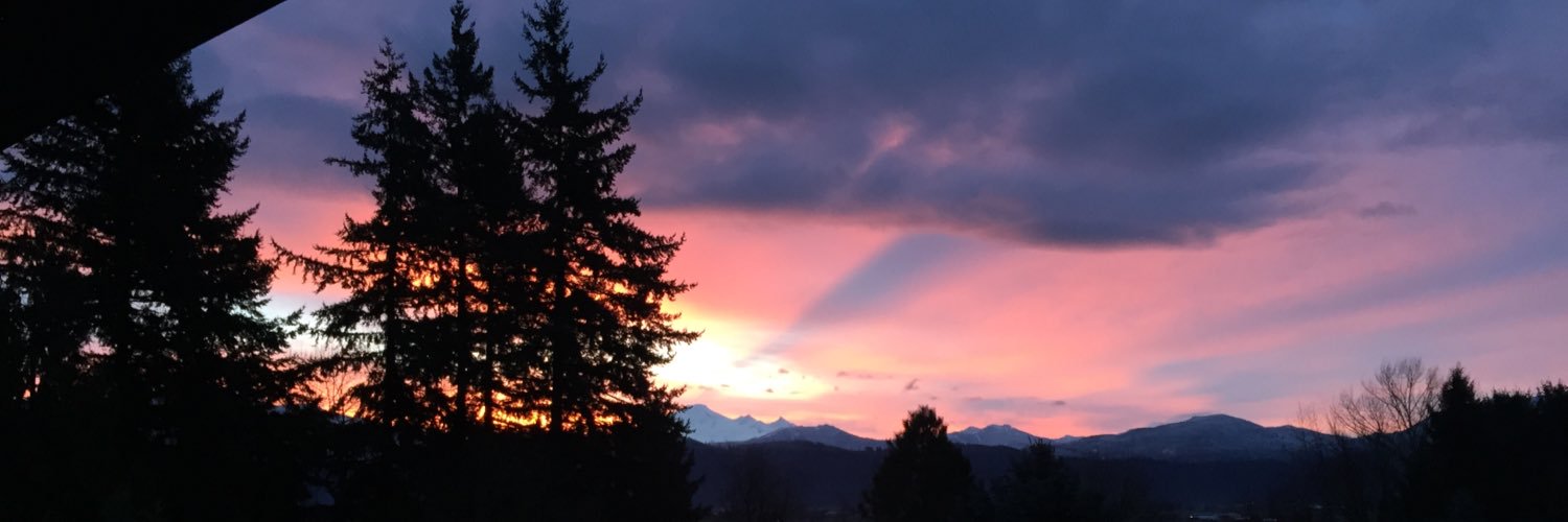 wendyneufeld's profile banner image