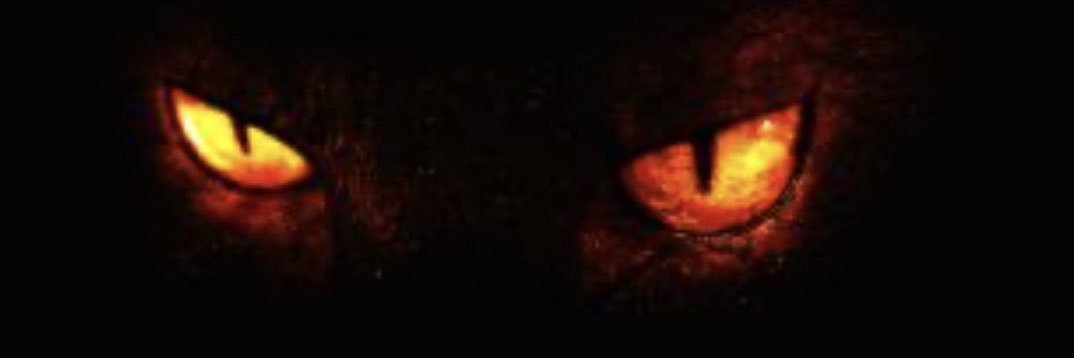 ygl23's profile banner image