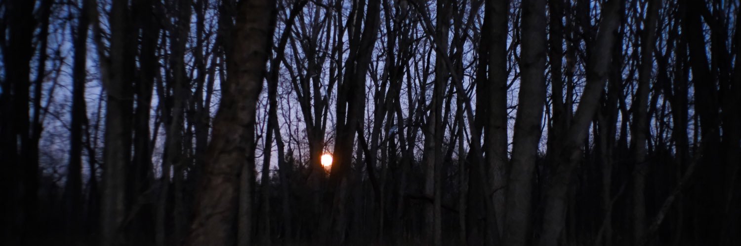 Brent McDonald banner