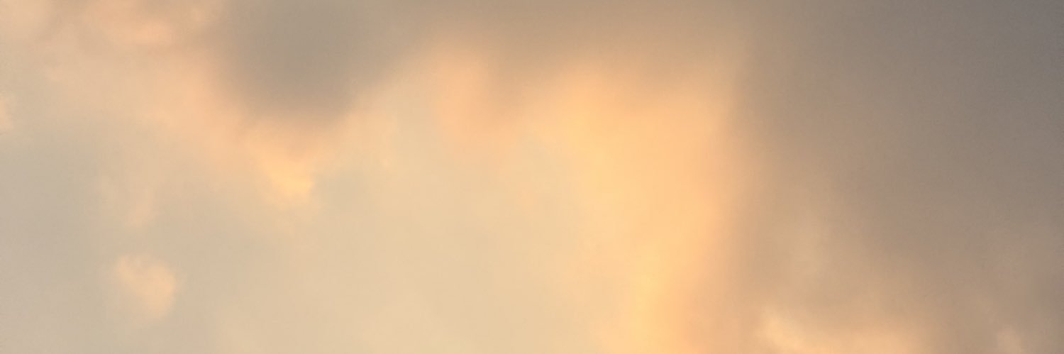 N banner
