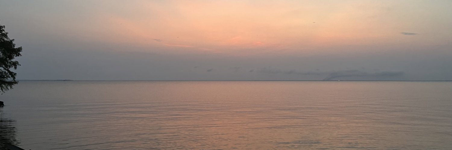 mikkswright's profile banner image