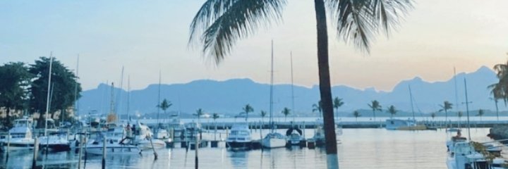 Caro_eFernandez's profile banner image