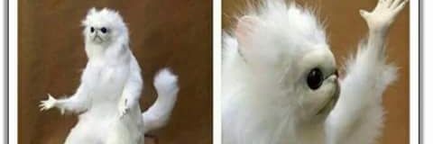 cejitas66's profile banner image