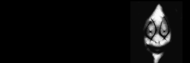 manyakfani1's profile banner image