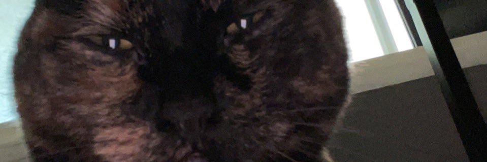 MichaeIaIvy's profile banner image