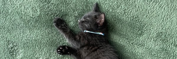 hayleyjar Profile Banner