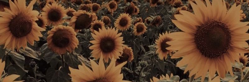 Mackw24's profile banner image