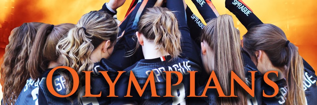 Sprague Volleyball banner