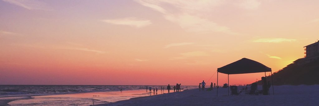 ellierosegreen's profile banner image