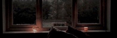 gilmorelikeme's profile banner image