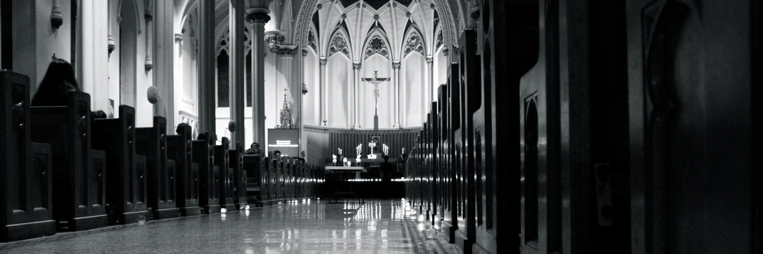stephdresch's profile banner image