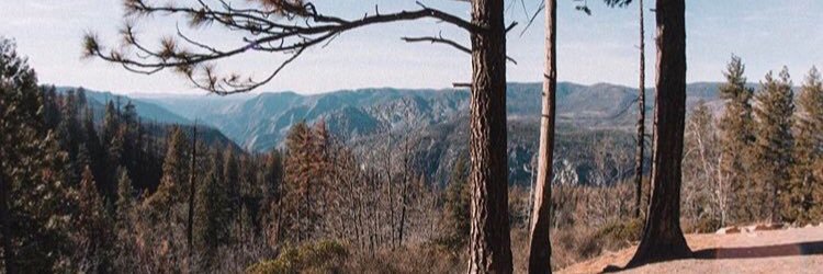 cassayyeee's profile banner image