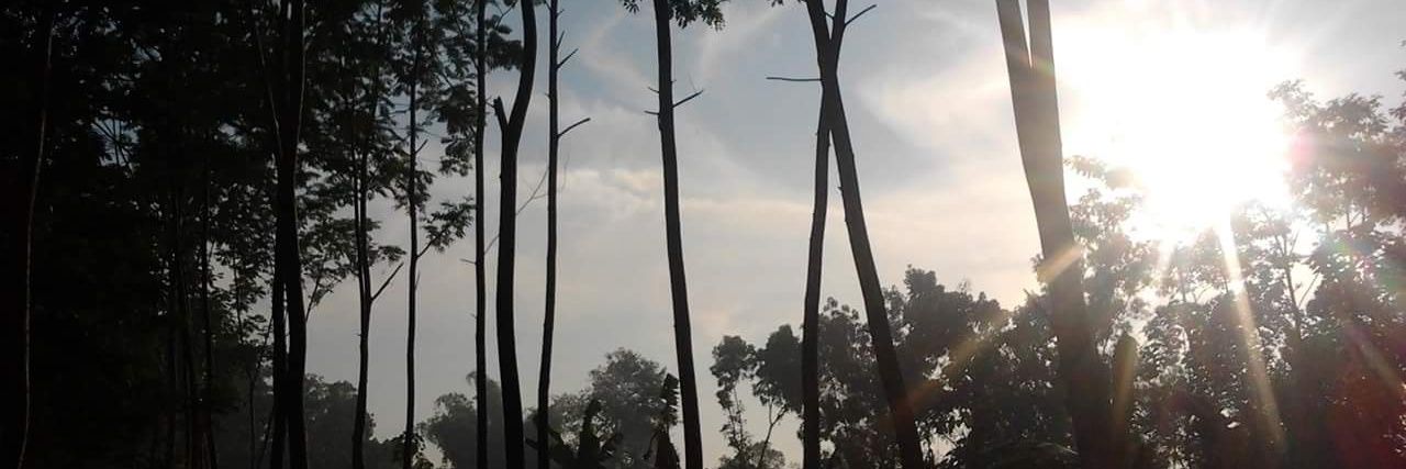 fikriena's profile banner image