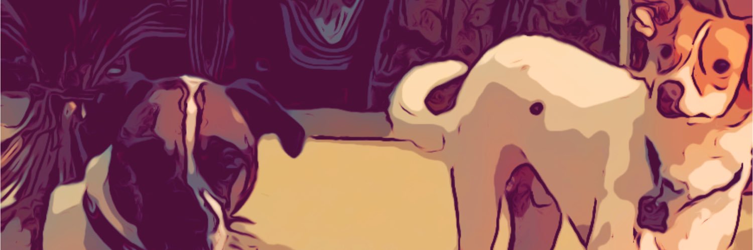 KatyHildreth's profile banner image