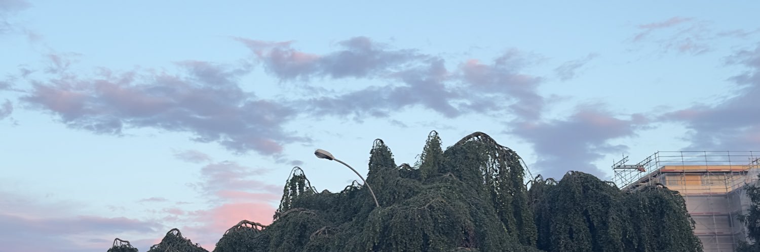 gloriaanks's profile banner image
