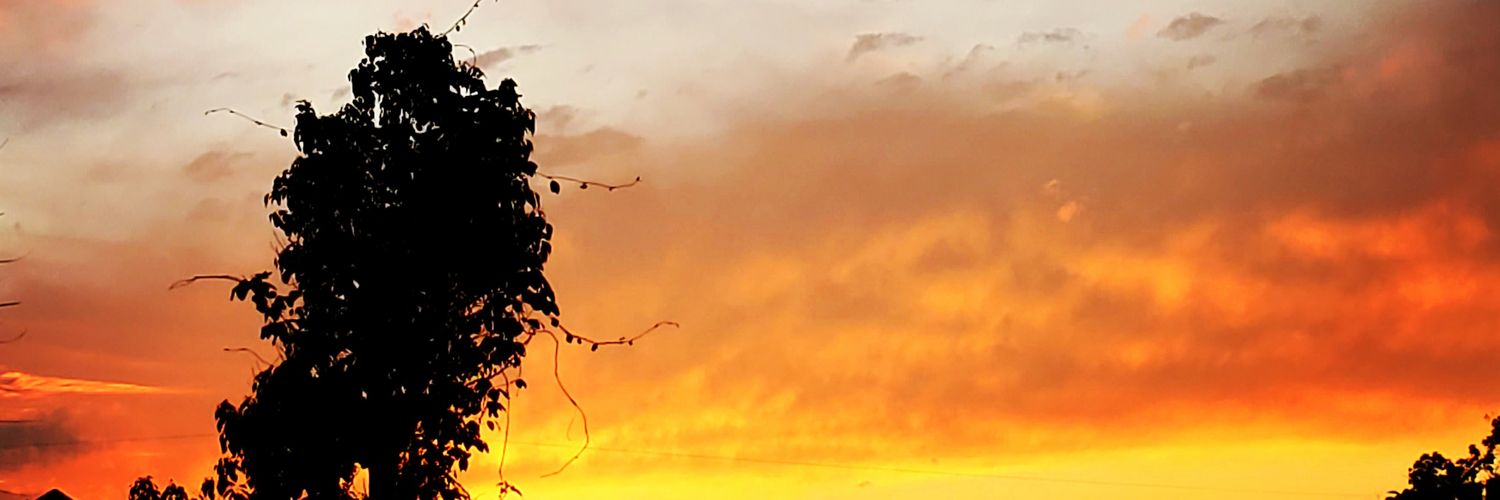 ReadingandRum's profile banner image