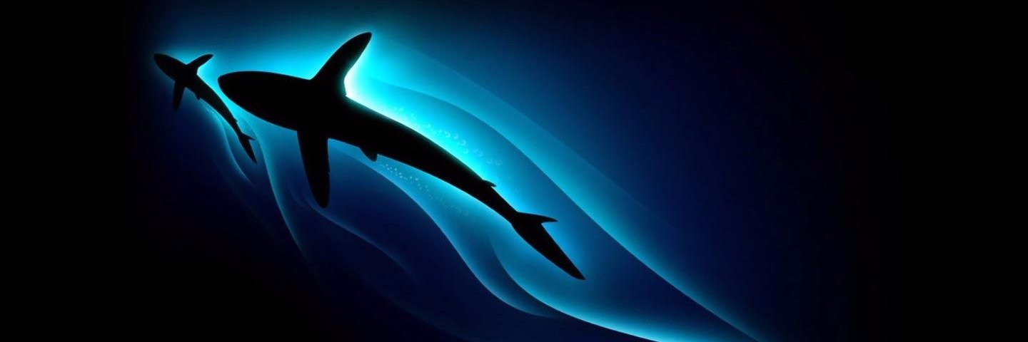 Charlyvegu's profile banner image