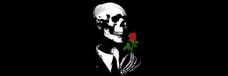 paraknowyeah's profile banner image