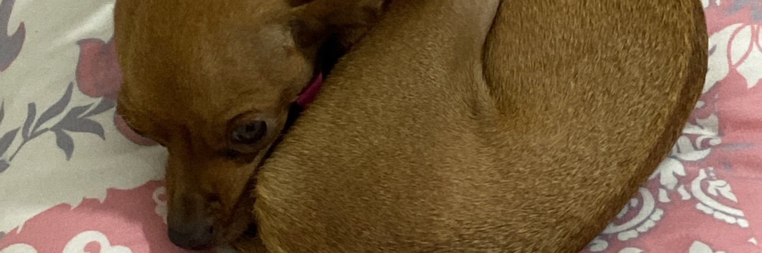Liarm7's profile banner image