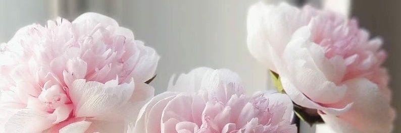 MaheswaranPM's profile banner image