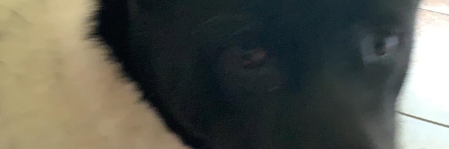 Jony Garcia banner