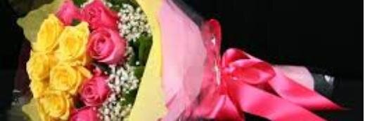 CECEVIA2's profile banner image