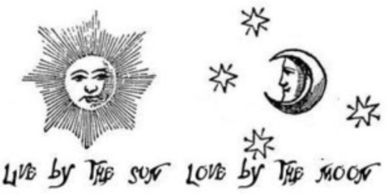 taylorp6's profile banner image
