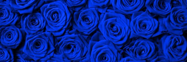 lucky_jos Profile Banner