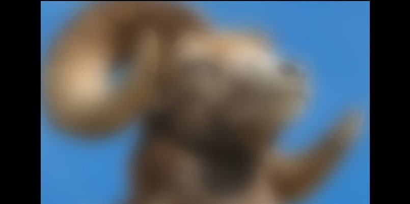 RandomRamblr's profile banner image