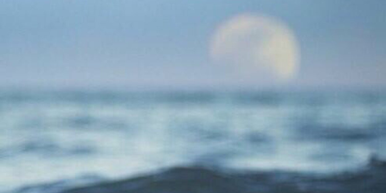 notice_cam's profile banner image