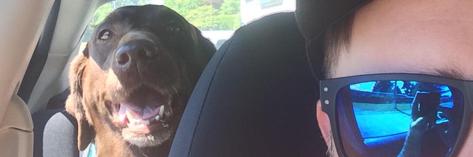 Alexlovesbass's profile banner image