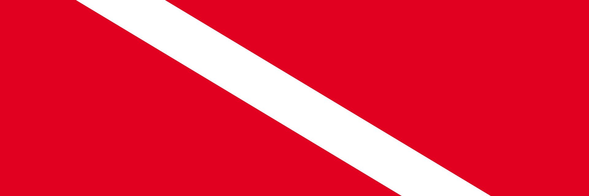 le Mérou 🐟 banner