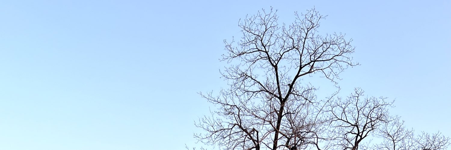Apichaya_Puki's profile banner image
