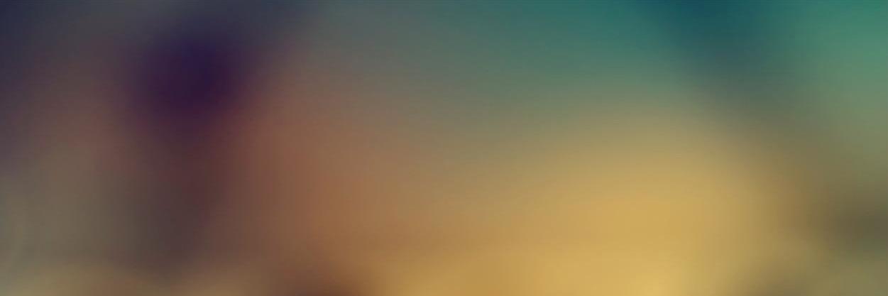 Günther Svetits banner